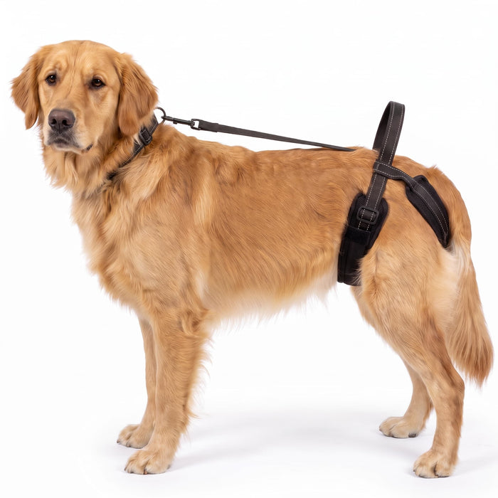 LiftMyDog SecureStep Mobility Sling