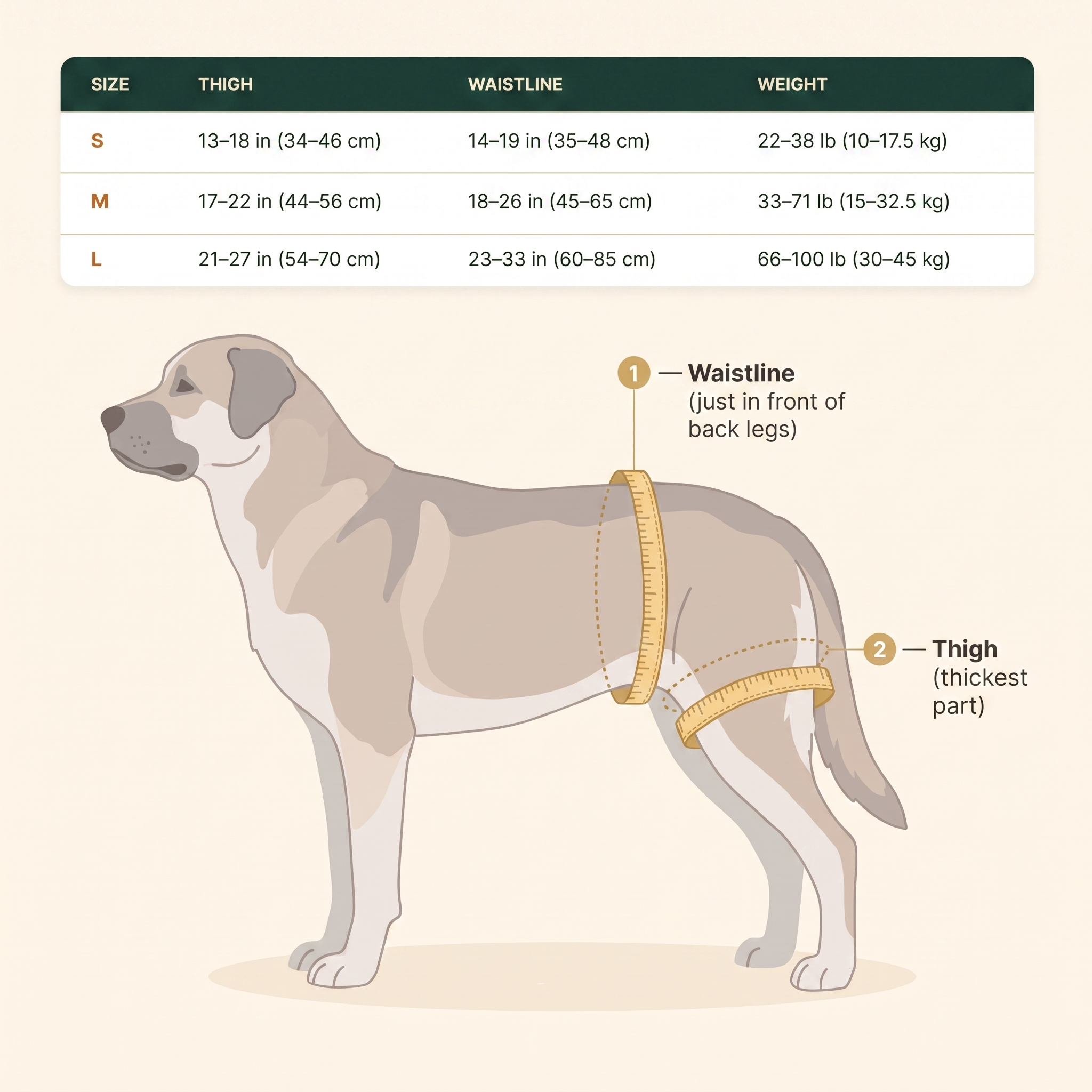 LiftMyDog SecureStep Mobility Sling - view 6