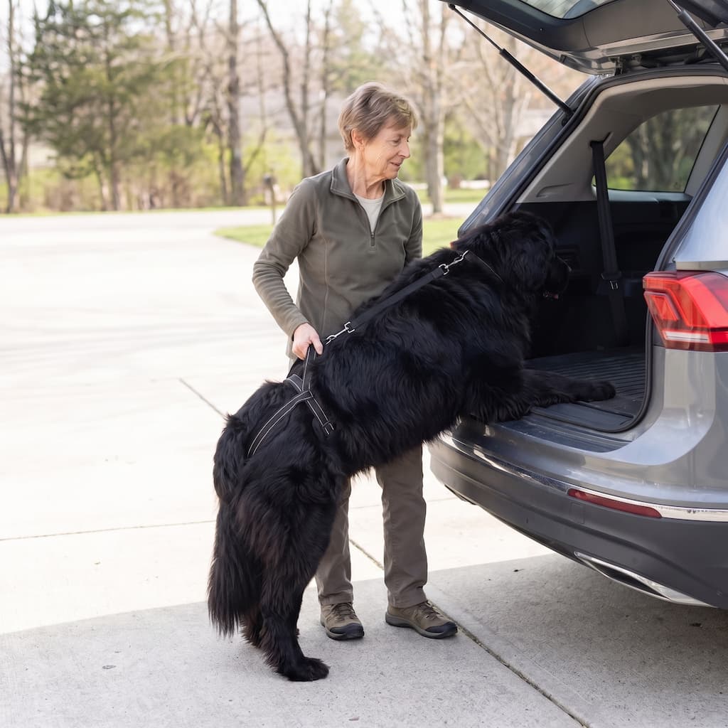 LiftMyDog SecureStep Mobility Sling - view 2